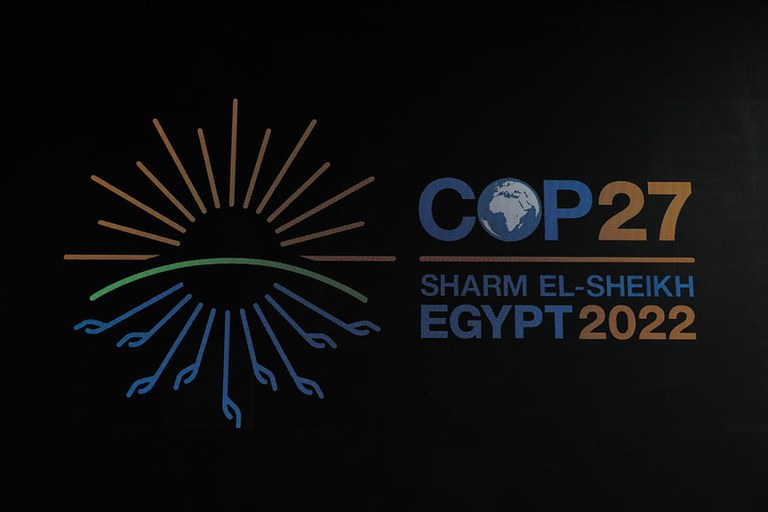 COP 27
